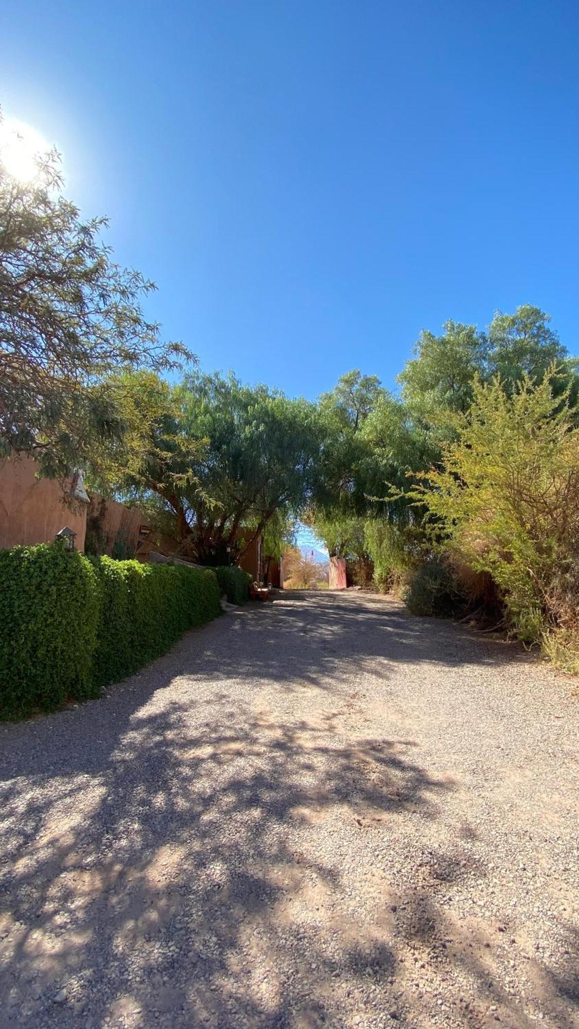 San Pedro Domos Villa San Pedro de Atacama Eksteriør bilde