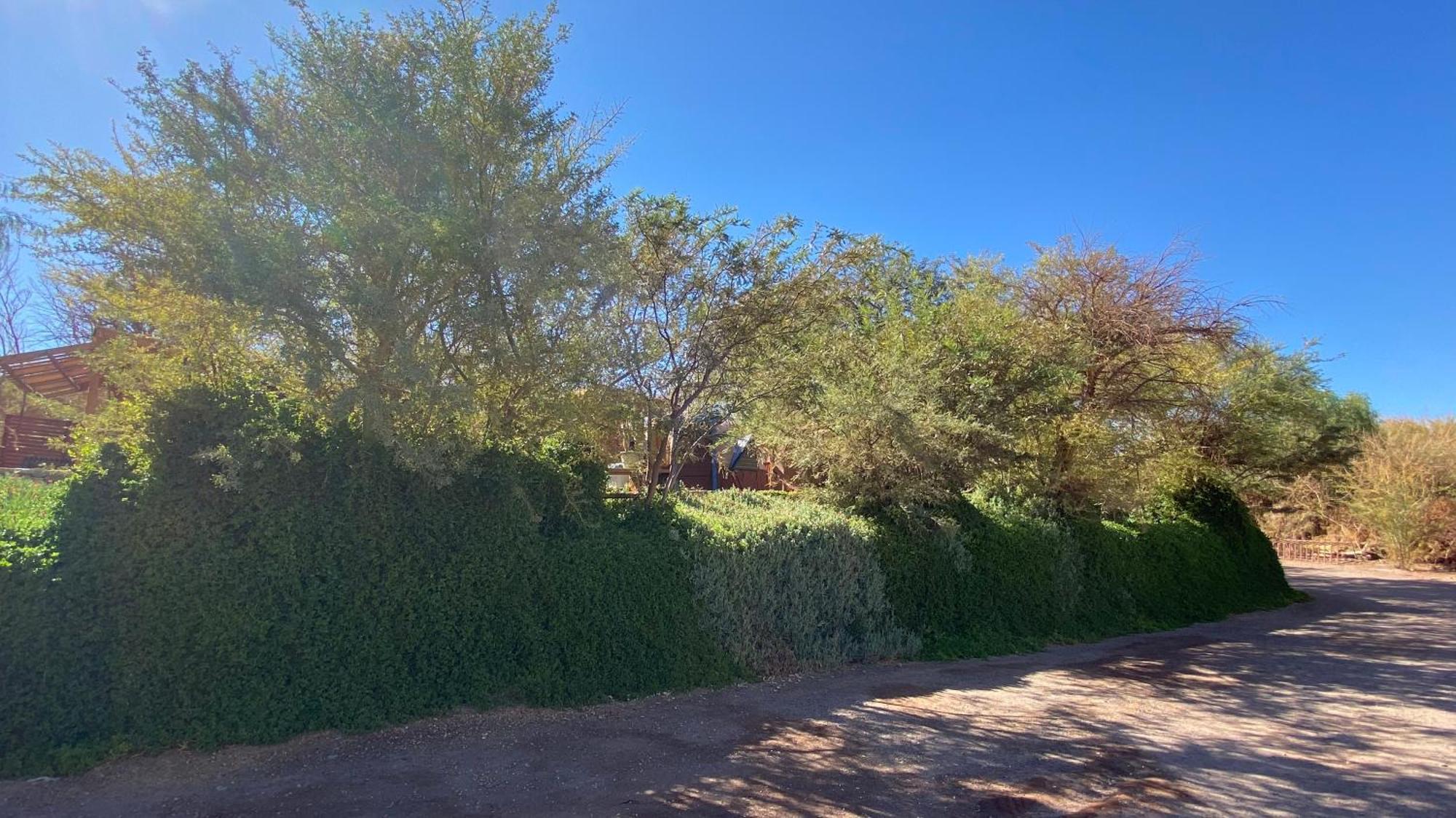 San Pedro Domos Villa San Pedro de Atacama Eksteriør bilde