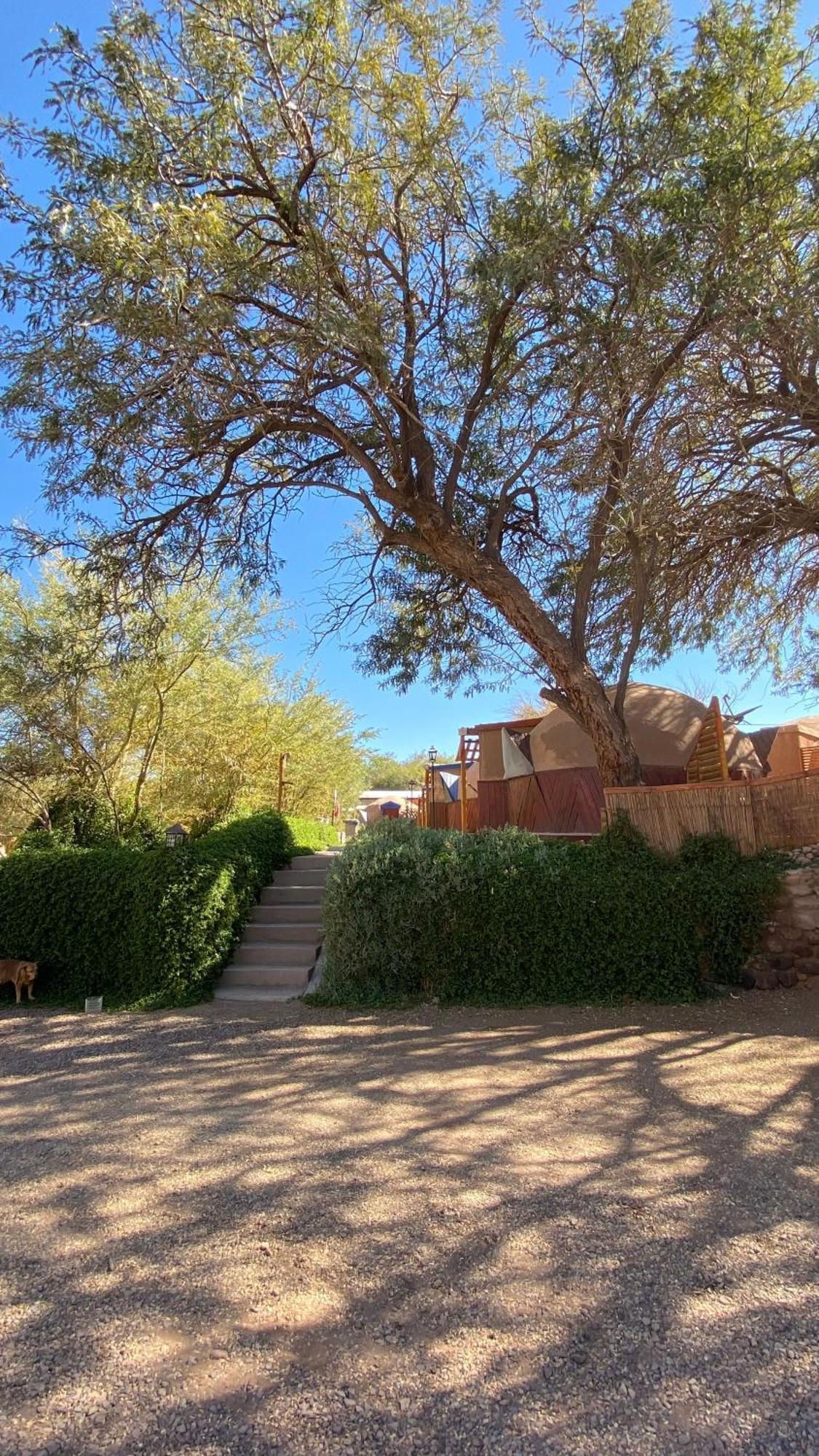 San Pedro Domos Villa San Pedro de Atacama Eksteriør bilde